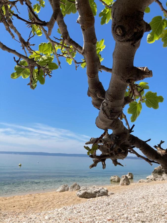 Kuca Za Odmor Baya Βίλα Stara Baška Εξωτερικό φωτογραφία